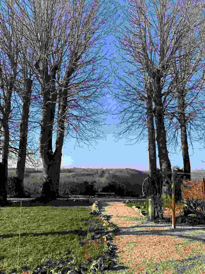 La Flavignienne Bed & Breakfast Flavigny sur Ozerain Bagian luar foto